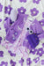 Purple Girl's Crossbody Purse-Mila & Rose ®