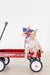 Vintage Flags Smocked Ruffle Dress-Mila & Rose ®
