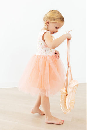 Blush Ballet Tank Tutu Dress-Mila & Rose ®