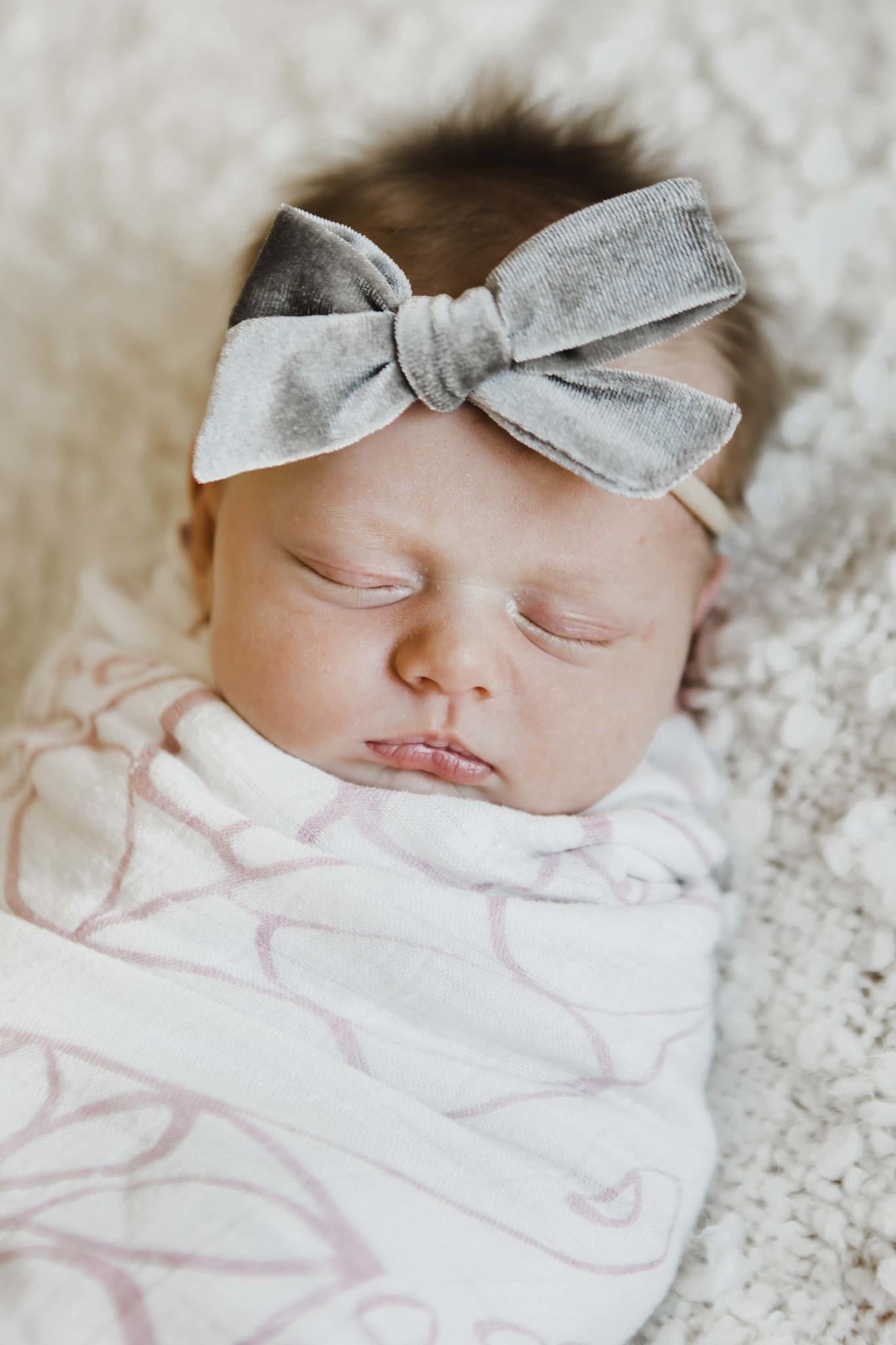 SALE Koala Gray Velvet Bow-Mila & Rose ®